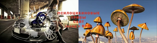 соль ск Алексин